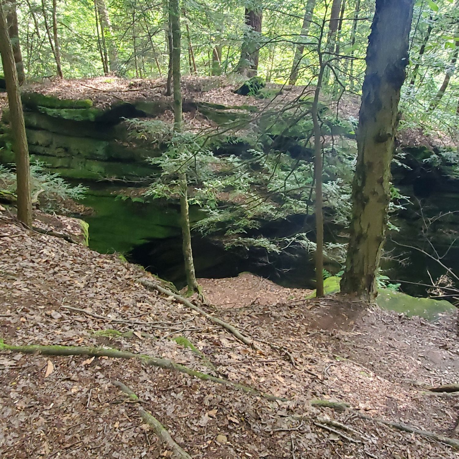 Ledges and Pine Grove Trails 